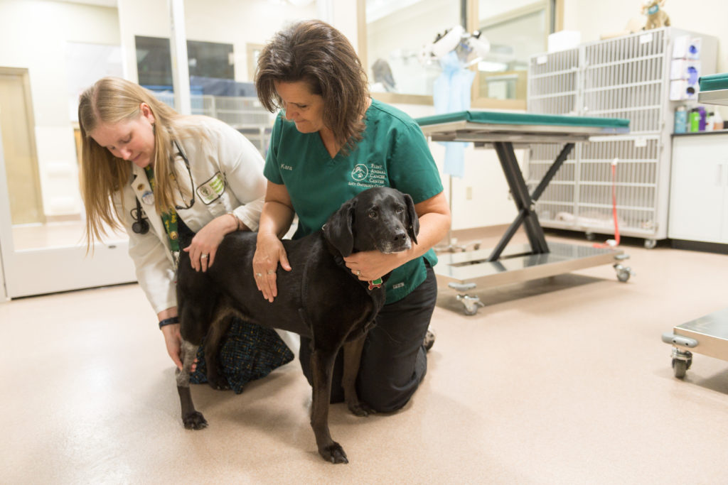 Clincal trials staff members with black dog