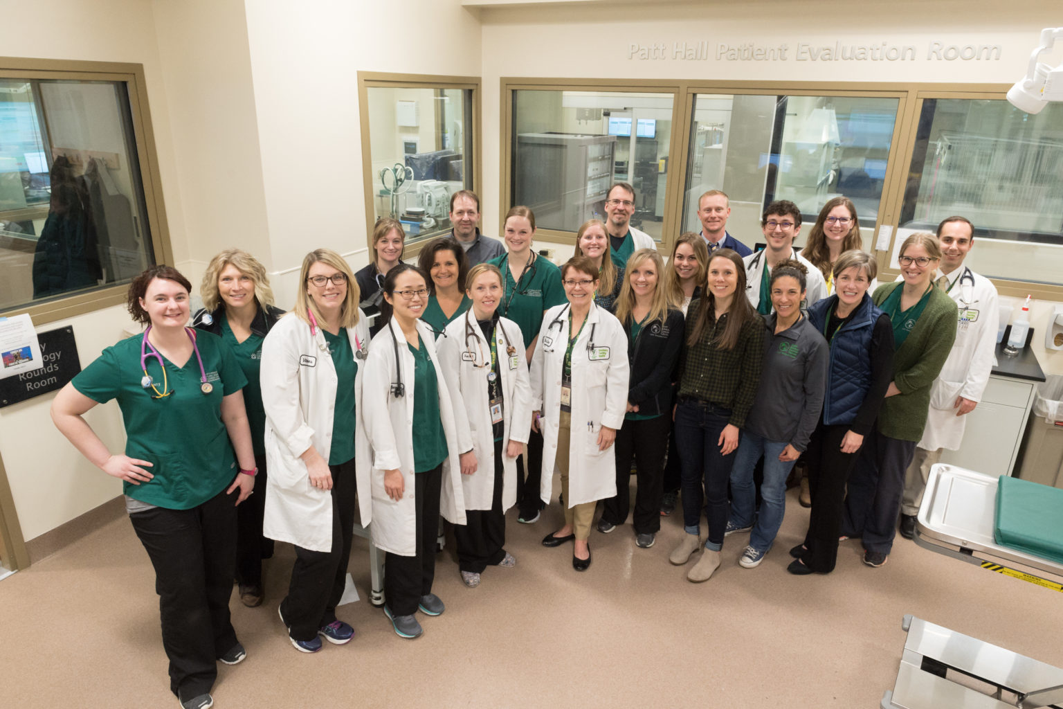 Our Services Flint Animal Cancer Center