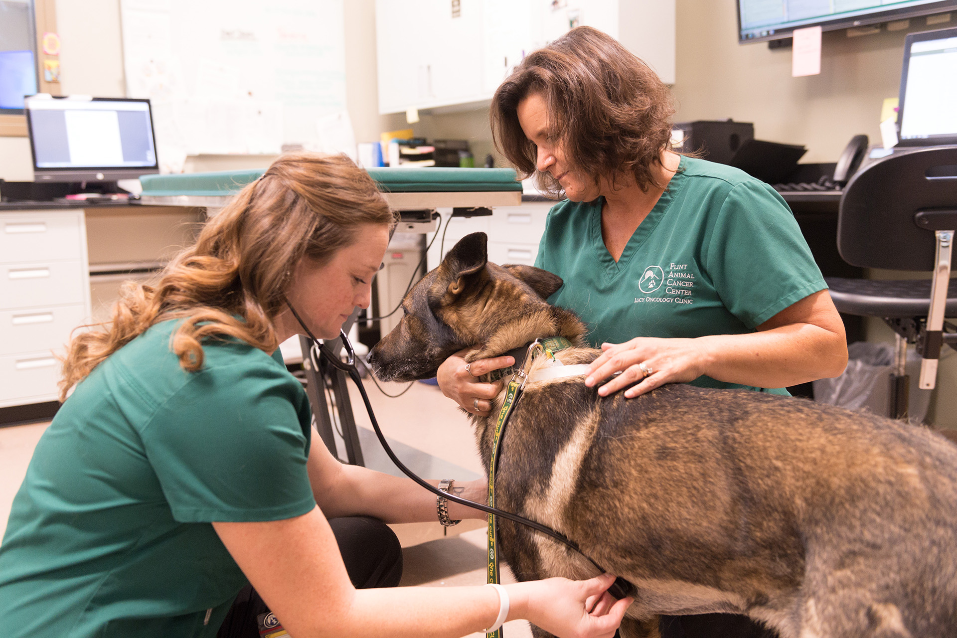 About Clinical Trials – Flint Animal Cancer Center