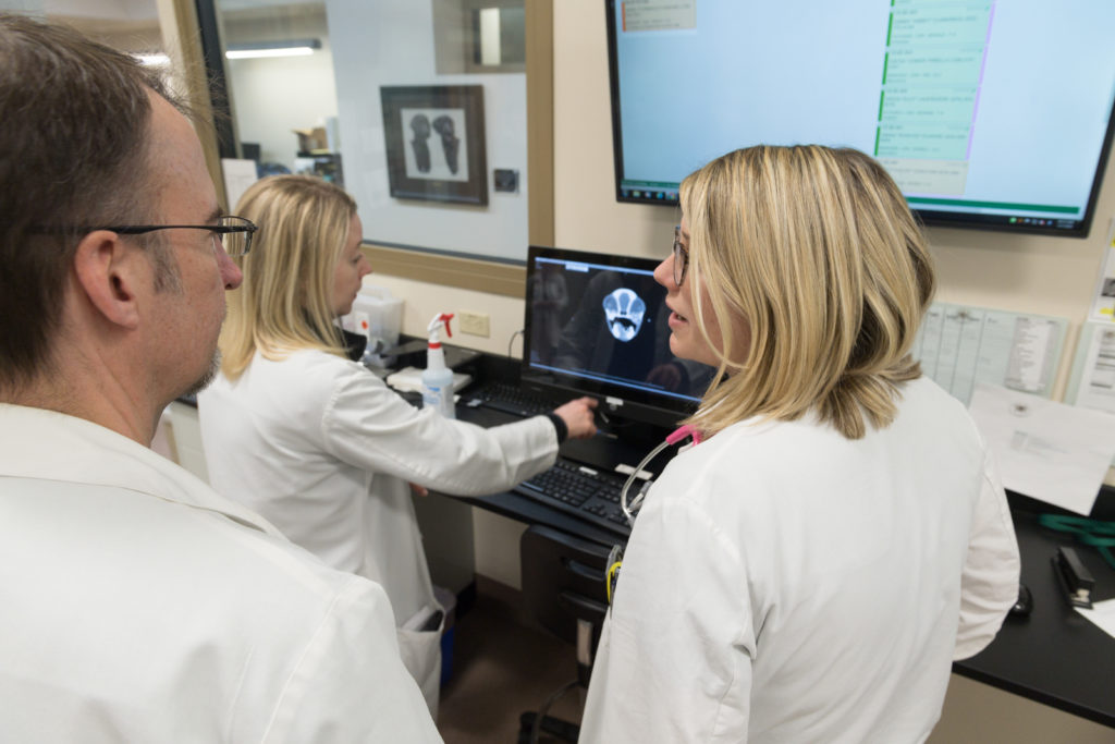 Three veterinarians
