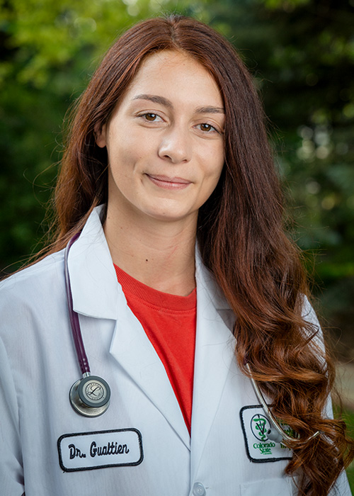 Dr. Patricia Gualtieri