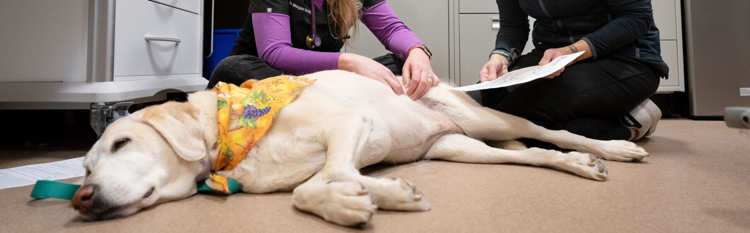 Safety and Biologic Effects of Intranodal Injection of a Nonspecific ...